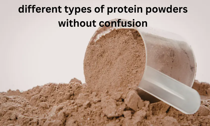 different types of protein powders without confusion